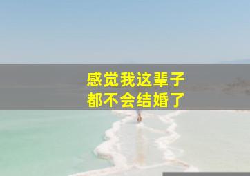 感觉我这辈子都不会结婚了