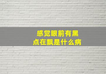 感觉眼前有黑点在飘是什么病