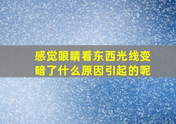 感觉眼睛看东西光线变暗了什么原因引起的呢