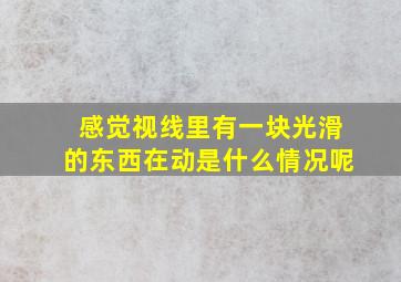 感觉视线里有一块光滑的东西在动是什么情况呢