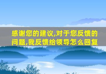 感谢您的建议,对于您反馈的问题,我反馈给领导怎么回复