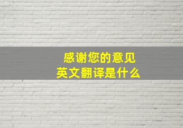 感谢您的意见英文翻译是什么