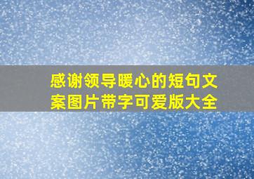 感谢领导暖心的短句文案图片带字可爱版大全