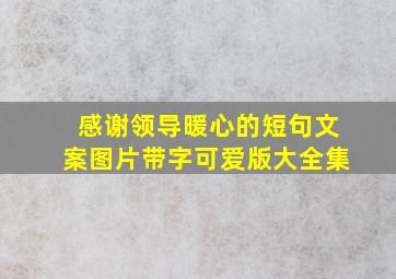 感谢领导暖心的短句文案图片带字可爱版大全集