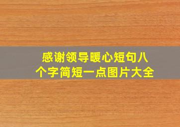 感谢领导暖心短句八个字简短一点图片大全