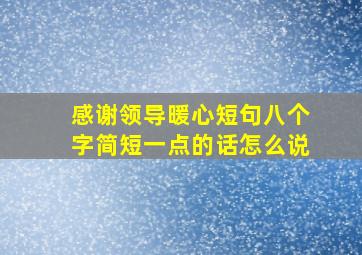 感谢领导暖心短句八个字简短一点的话怎么说