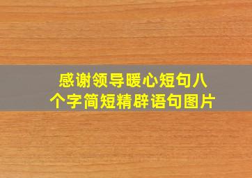 感谢领导暖心短句八个字简短精辟语句图片