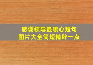 感谢领导最暖心短句图片大全简短精辟一点