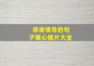 感谢领导的句子暖心图片大全