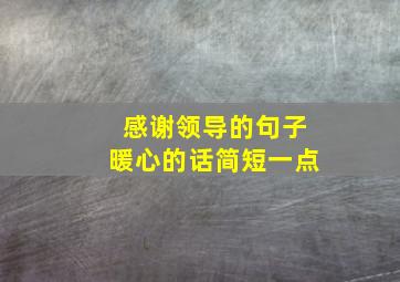 感谢领导的句子暖心的话简短一点