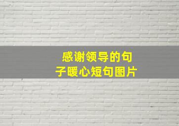 感谢领导的句子暖心短句图片