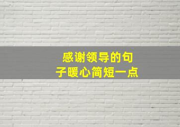 感谢领导的句子暖心简短一点