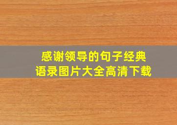 感谢领导的句子经典语录图片大全高清下载