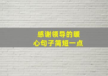 感谢领导的暖心句子简短一点