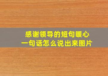 感谢领导的短句暖心一句话怎么说出来图片