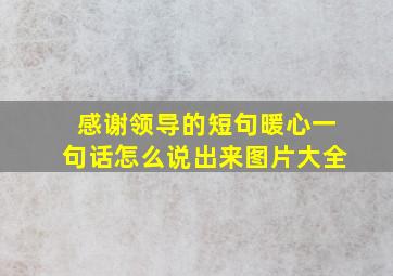 感谢领导的短句暖心一句话怎么说出来图片大全