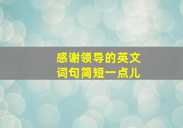 感谢领导的英文词句简短一点儿