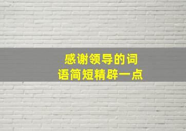 感谢领导的词语简短精辟一点