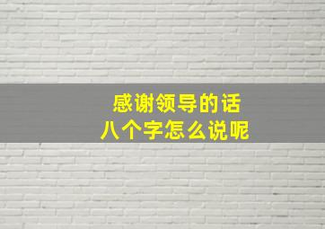 感谢领导的话八个字怎么说呢