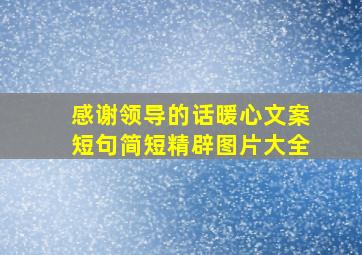 感谢领导的话暖心文案短句简短精辟图片大全