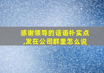 感谢领导的话语朴实点,发在公司群里怎么说