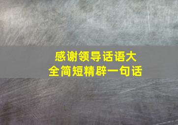 感谢领导话语大全简短精辟一句话