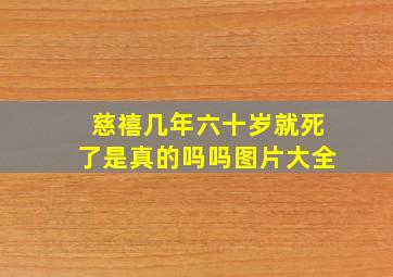 慈禧几年六十岁就死了是真的吗吗图片大全