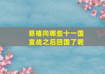 慈禧向哪些十一国宣战之后回国了呢