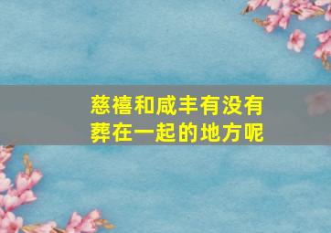 慈禧和咸丰有没有葬在一起的地方呢