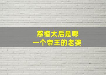 慈禧太后是哪一个帝王的老婆