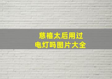 慈禧太后用过电灯吗图片大全