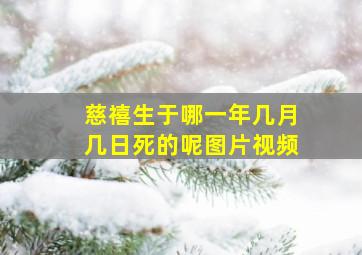 慈禧生于哪一年几月几日死的呢图片视频