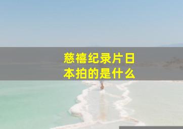 慈禧纪录片日本拍的是什么