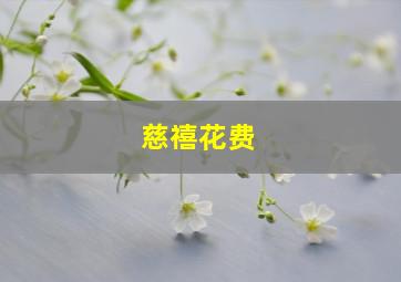 慈禧花费