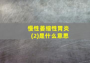 慢性萎缩性胃炎(2)是什么意思