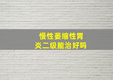 慢性萎缩性胃炎二级能治好吗