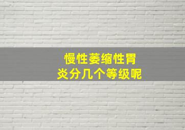 慢性萎缩性胃炎分几个等级呢