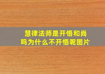 慧律法师是开悟和尚吗为什么不开悟呢图片