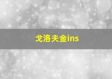 戈洛夫金ins