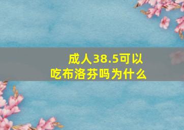 成人38.5可以吃布洛芬吗为什么