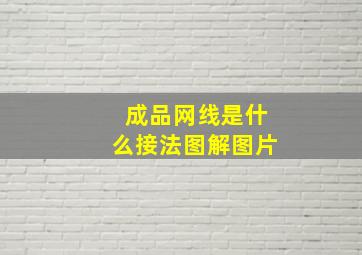 成品网线是什么接法图解图片