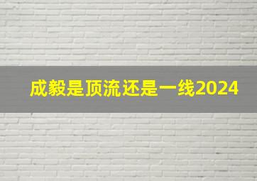 成毅是顶流还是一线2024