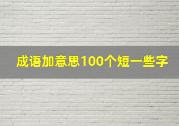 成语加意思100个短一些字