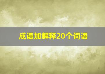 成语加解释20个词语