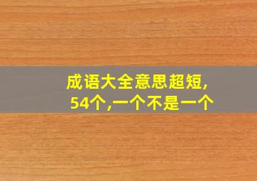 成语大全意思超短,54个,一个不是一个