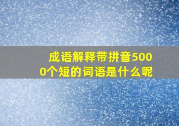 成语解释带拼音5000个短的词语是什么呢