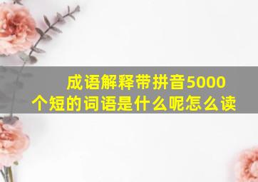 成语解释带拼音5000个短的词语是什么呢怎么读