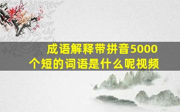 成语解释带拼音5000个短的词语是什么呢视频