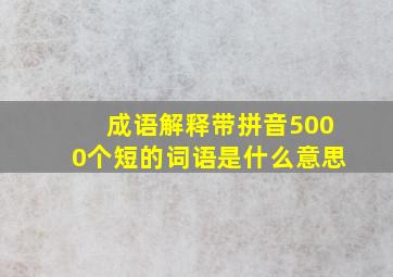 成语解释带拼音5000个短的词语是什么意思