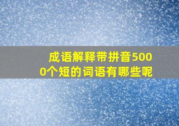 成语解释带拼音5000个短的词语有哪些呢